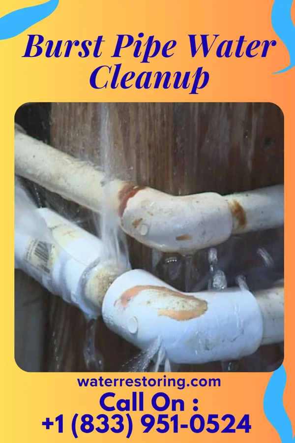 Burst Pipe Water Cleanup in Aledo, IL