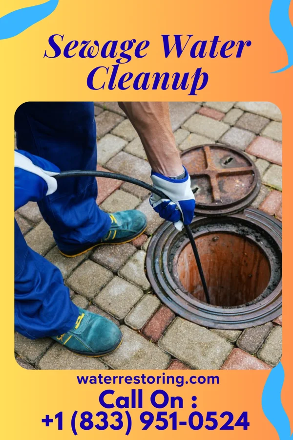 Sewage Water Cleanup in Aledo, IL
